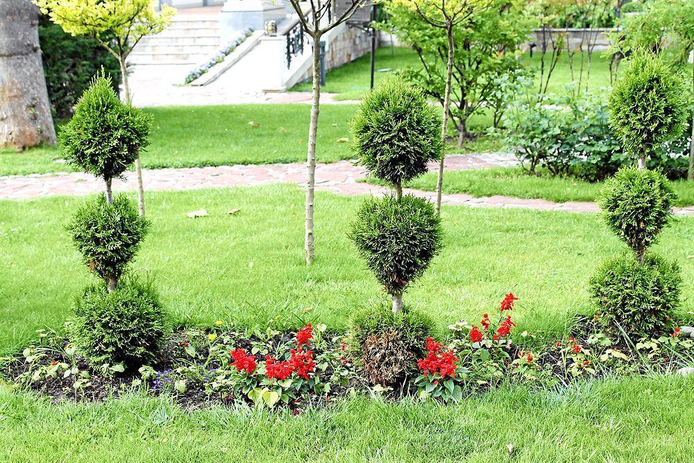 Helena VIP Villas&Suites - Half Board Slăntjev Brjag Exteriör bild